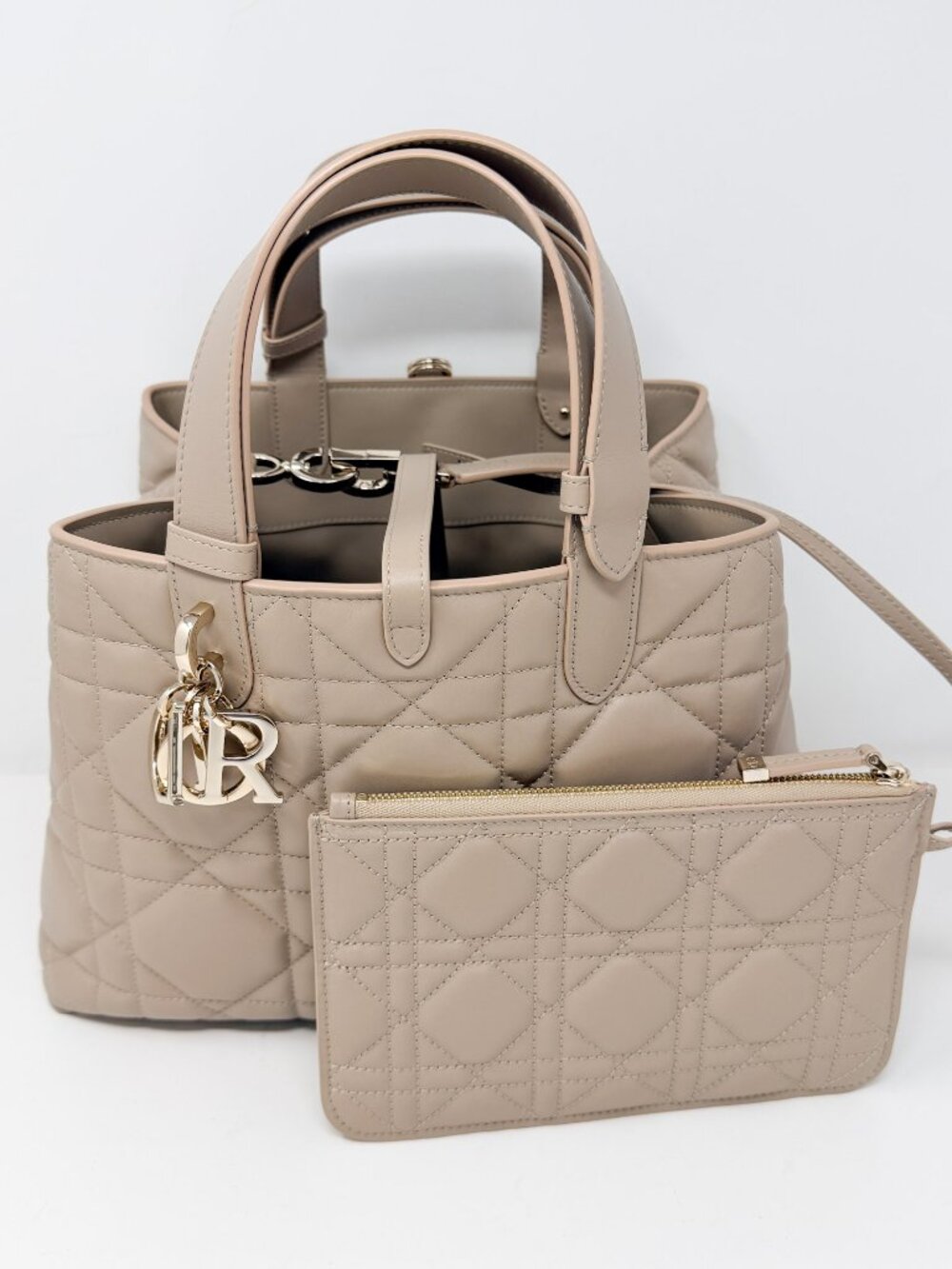 Christian Dior Medium Dior Toujours Bag